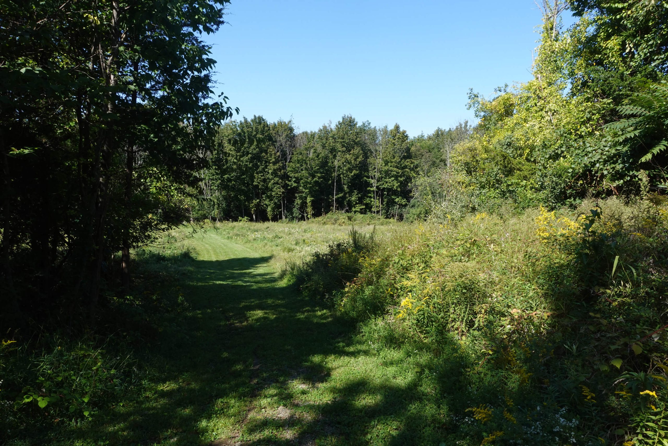 Gallery - Black Bear RV Park