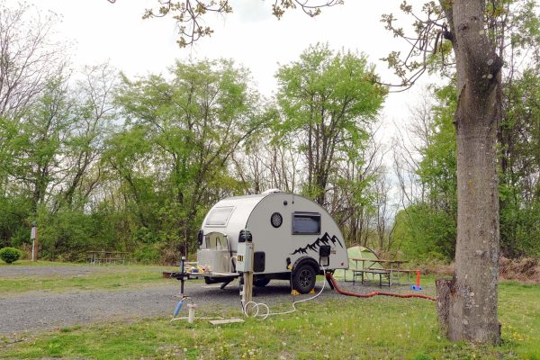 Black Bear Amenities